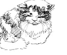 あなたの愛おしい愛猫をゆるく描きます ゆるくて愛しい猫イラストの作成 イメージ2