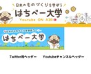 SNS用の広告デザイン＆バナー制作します 編集可能なパワポでも作成可能！イベント告知などにオススメ！ イメージ6