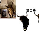 動画・画像の背景削除(背景透過)いたします 合成動画，合成画像を簡単に作るお手伝いをします イメージ4