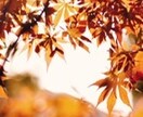 労務管理士なので仕事の事聞きます 会社で理不尽な事されたり言われたり法的にどうなのに答えます イメージ1