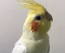 職場、夫婦、義父母での対人関係の悩みうかがいます 日常生活で避けられない対人関係。少しでも笑顔になれますように イメージ2