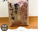 お客様の心に響くチラシを作成いたします イベントや季節に合わせたチラシ作成ができます イメージ2