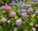 簿記2級合格のための弱点論点の洗い出し、手伝います 日商簿記検定2級合格者が一緒に整理します イメージ1