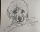 愛犬の似顔絵にお花や植物を添えます 愛犬の似顔絵に、お花や植物を融合させて描きます。 イメージ1