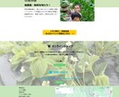 農家に特化したECサイトの作成をします 新規就農の方に！個人で農産物を販売したい方に向けたECサイト イメージ8