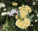 誰かと話して落ち着きたい時。話し相手になります 今のその気持ち、吐き出してみてください。 イメージ2
