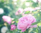 救◆◇八◇◆導“超絶≪縁結び≫儀式”行います ◇良縁・縁結びに専念◇この二つに特化した超強力儀式で恋愛成就 イメージ9