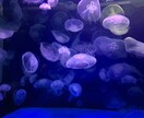 手書きメッセージの代筆承ります 心を込めた手書きメッセージが必要な方へ イメージ1