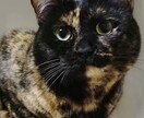 ペットの似顔絵お描きします 元日本画学科の美大生がお描きします イメージ8