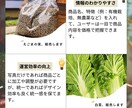 出会いと繋がりを生む商品画像をCanvaで作ります 農業など生産者様向けに伝わるメルカリショップの商品画像制作 イメージ3