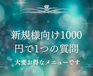 NEW販売実績4300【新規様専門】1つ占います 新規様専用に1つの悩み深く鑑定ズバリお答え1日以内に鑑定 イメージ1