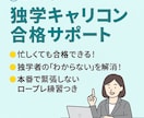 独学キャリアコンサルタント取得を全力で応援します キャリアコンサルタントが学習計画〜実技対策まで丁寧にサポート イメージ2