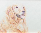 ペットの絵画制作します サイズ15㎝以下でペン画の実物を納品させていただきます。 イメージ3