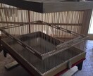 お洒落な籠、お作りします 玄関の置物にいかがですか？虫籠、鳥籠なども作れます。 イメージ3