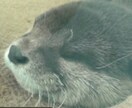 恋愛、友人、結婚、親子全ての人間関係の相談乗ります コーチング、マネージメント、受験生指導などメンタルフォロー イメージ2