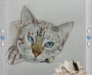 お家の猫ちゃんの似顔絵描きます 色鉛筆で丁寧に仕上げます！！お顔中心に描かせて戴きます。 イメージ1