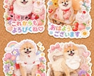 ペットの写真から小物付きの可愛いスタンプ作ります ペット写真から作る愛らしくらぶりぃで可愛いＬＩＮＥスタンプ イメージ7