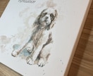 手描きです！大切なペットの似顔絵描きます 優しいタッチのイラストを水彩や色鉛筆を使ってリアルに描きます イメージ2