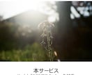 35mmフィルムをデータ化します フィルム専用スキャナーでフィルムをスキャンします。 イメージ7
