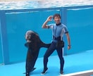 懐かない野犬（保護犬）が家族になるサポートをします （水族館で多くの野生動物経験を、野犬のしつけに活用） イメージ6