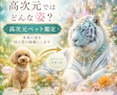 ペットの本当の姿　携帯待ち受け画像つくります スターシード向け　高次元ガイド鑑定 イメージ1