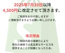 Shopifyの運営に特化した簡易コンサルします 今まで培ってきたECの知見・経験を活かしたアドバイスをします イメージ2
