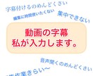 動画の字幕付け編集を行います Youtuberの方、字幕付けの手間を省きたい方が対象です。 イメージ1