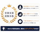 現役の営業責任者が商談ロープレします 100名育成の経験で、商材に合わせた売れる型をご提案 イメージ8