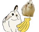 うさぎのイラスト描きます SNSアイコンなどにご使用ください♩ イメージ7