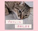 30代の女性目線でプロフィール添削します 一緒に魅力的なプロフィールを完成させましょう イメージ1