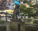 東京都内の写真を撮ってきます 東京都出来になる場所があれば現地調査としてでも写真を撮ります イメージ6