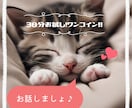 まずはお試し！ワンコイン☆30分お話相手になります 気になる方はまずはこちらからヾ(≧▽≦*)o イメージ1