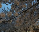 3日間ワンコイン♡リクエストに応じてお聞きします 愚痴、悩み相談トークルームであなたの理想の話し相手になります イメージ1