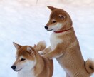 元不登校相談員！お話聞きます 辛いもやもやを吐き出せる第三者になりたいです。 イメージ1