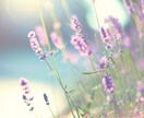 恋愛成就鑑定／これからのご縁を結びます ✿あの人の特別になる✿ 可能性/相性/時期/遠距離 イメージ2