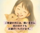 シニア犬猫専門｜遠隔レイキヒーリングをお届けします 高齢のわんちゃん・ねこちゃんのための優しいヒーリングケア イメージ3