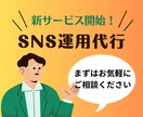 プロマーケター在籍！SNSの運用、運営代行します Instagram,Twitter(X)Facebook運用 イメージ1