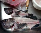 今日の料理の秘密、ここにあります 〜元魚屋の知識と、男三兄弟の腹を満たし続ける秘訣〜 イメージ2