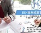 新卒就職・転職の書類作成をサポートします IT系の就職・転職をメインに提出資料添削のサポートをします。 イメージ1