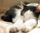 近い未来おふたりの関係がどうなっていくかみます ☆1か月後と3か月後をタロットで イメージ1