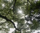 限定公開  スキマ時間に！未体験の文通相談やります 【注意】　一度体験してみたら元の世界には戻れません笑 イメージ3
