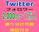 Twitterフォロワー2000人〜増加します Twitterフォロワー宣伝します！フォロワー増加確実！ イメージ1
