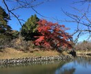 自然と結果が出る体質にします -------何を変えたらいいか迷ってる人向け イメージ3