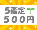 春限定●タロット●占い●これからの運気お伝えします 最安値●遠距離恋愛●別れ●出会い●新生活●大切にすると良い人 イメージ1