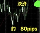 FX平均100ピップス抜き手法と考え方を指導します 正しく強い手法と他人と差をつける考え方 イメージ4