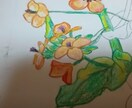 色えんぴつでの絵を描きます まだ予定中でして、しばしお待ちくださいませ。 イメージ1