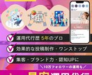 総額6万で15投稿！プロがインスタ運用代行します 運用代行会社勤務・10万Fw垢運用・限定20枠の特別価格 イメージ4