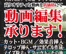 動画編集★高品質な動画を低価格にて作成致します Youtube向け・商品PR・結婚式動画等、各ジャンル対応！ イメージ1