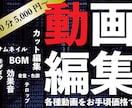 YouTubeなどの動画編集を承ります 基本3日以内で納品！お急ぎの場合にもご相談ください！ イメージ1