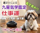 九星気学で仕事運の総合鑑定を行います 「今のままでいい？」あなたがより輝ける道を星でよみとります イメージ1